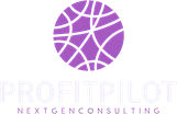 ProfitPilot NextGen Consulting